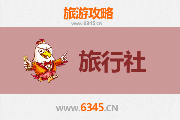 湛江徐闻旅行社精选推荐：探索热带风情与古港文化的完美指南