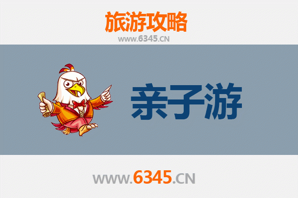湛江徐闻亲子游攻略：探秘中国大陆最南端的自然与人文之旅